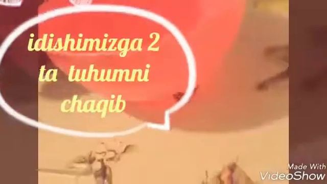 Smetannik Torti- Tayyorlash Jarayoni.Сметанник Торти- Тайёрлаш жараёни.