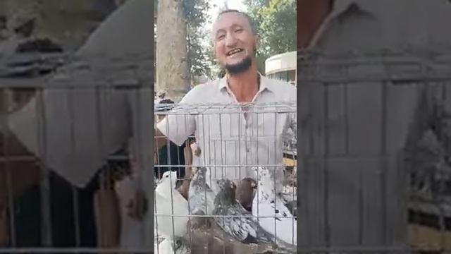 28 августа 2022 г.