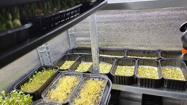 Какие секреты хранит ферма микрозелени? Что скрывают на ФЕРМЕ смотреть онлайн