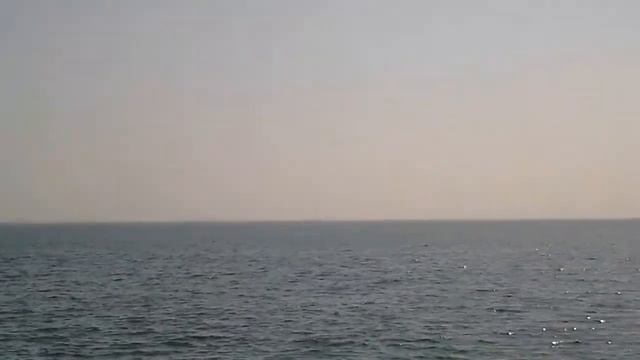 12 Nemo. Одесса.