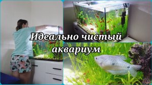 УХОД И СОДЕРЖАНИЕ АКВАРИУМА🐟ДОМАШНИЙ АКВАРИУМ🐟АКВАРИУМ НА 200 ЛИТРОВ