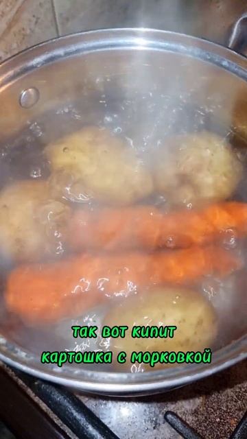 Проверяем лайфхак. Как легко почистить картофель в мундире  #проверяемлайфхак #картошкавмундире