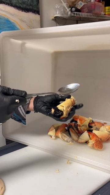 How to crack Stone Crab Claws! #stonecrab #stonecrabclaws #stonecrabsauce #howtocrackstonecrab смотреть онлайн