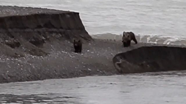Переправа смотреть онлайн