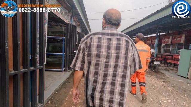 PASAR IKAN HIAS LOKBIN PASAR REBO JAKARTA TIMUR смотреть онлайн