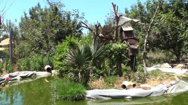 Обезьяний питомник июнь 2012 г 40 смотреть онлайн