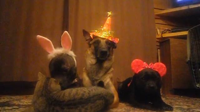 Весело, весело встретим Новый Год!!! смотреть онлайн