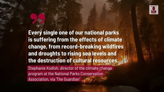 California Wildfire Threatens Giant Sequoias in Yosemite National Park смотреть онлайн