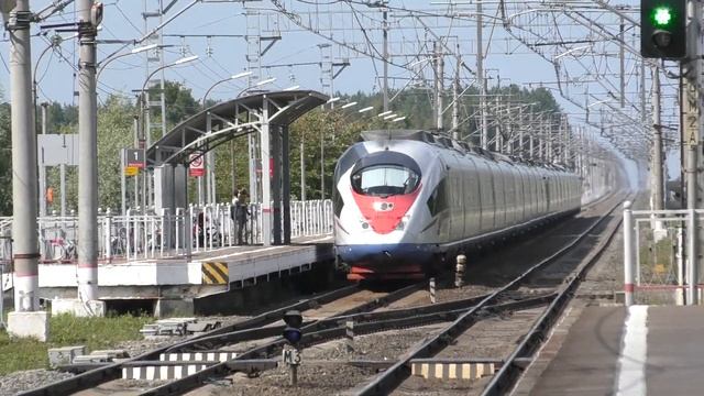 Сдвоенный Сапсан ЭВС1-06 и ЭВС2-02 смотреть онлайн