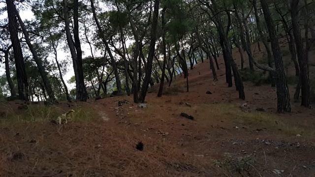 Mondraker Podium Carbon Pro SL Test Drive 17 смотреть онлайн