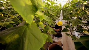 Сквозь пространство и время с Морганом Фрименом 8 сезон 3 серия (документальный сериал, 2017)