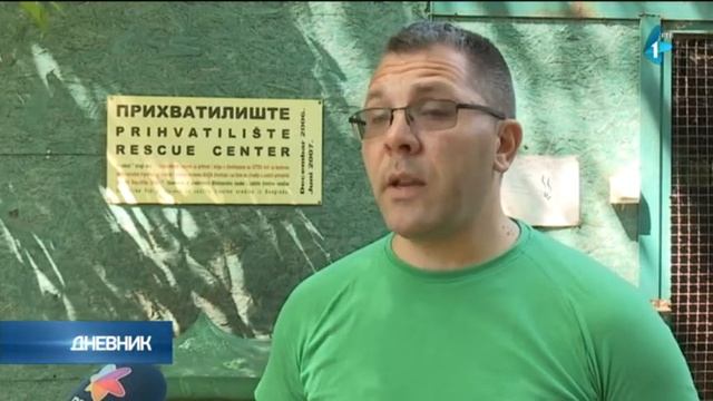Roda preživela atentat смотреть онлайн