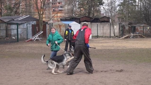 Рысь, 24.04.16 смотреть онлайн