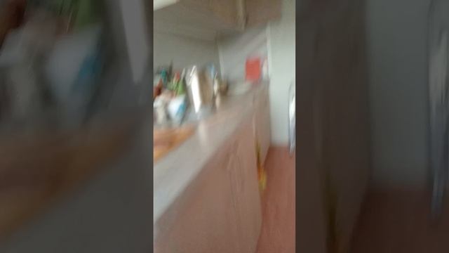 Флип ветер Челлендж, 🎊🎊🎊🎊🌟 смотреть онлайн