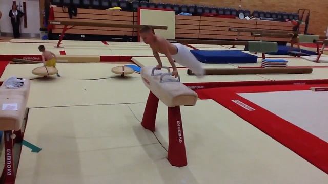 Men's Gymnastics - Pommel Horse