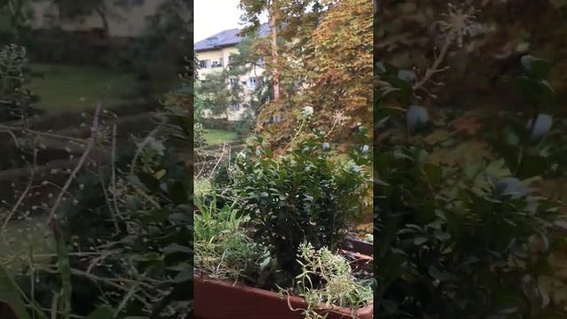 Balkon 138; 16. X special смотреть онлайн