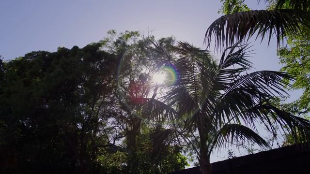 Architect Designs A Home Made Of Raw And Natural Materials (House Tour)