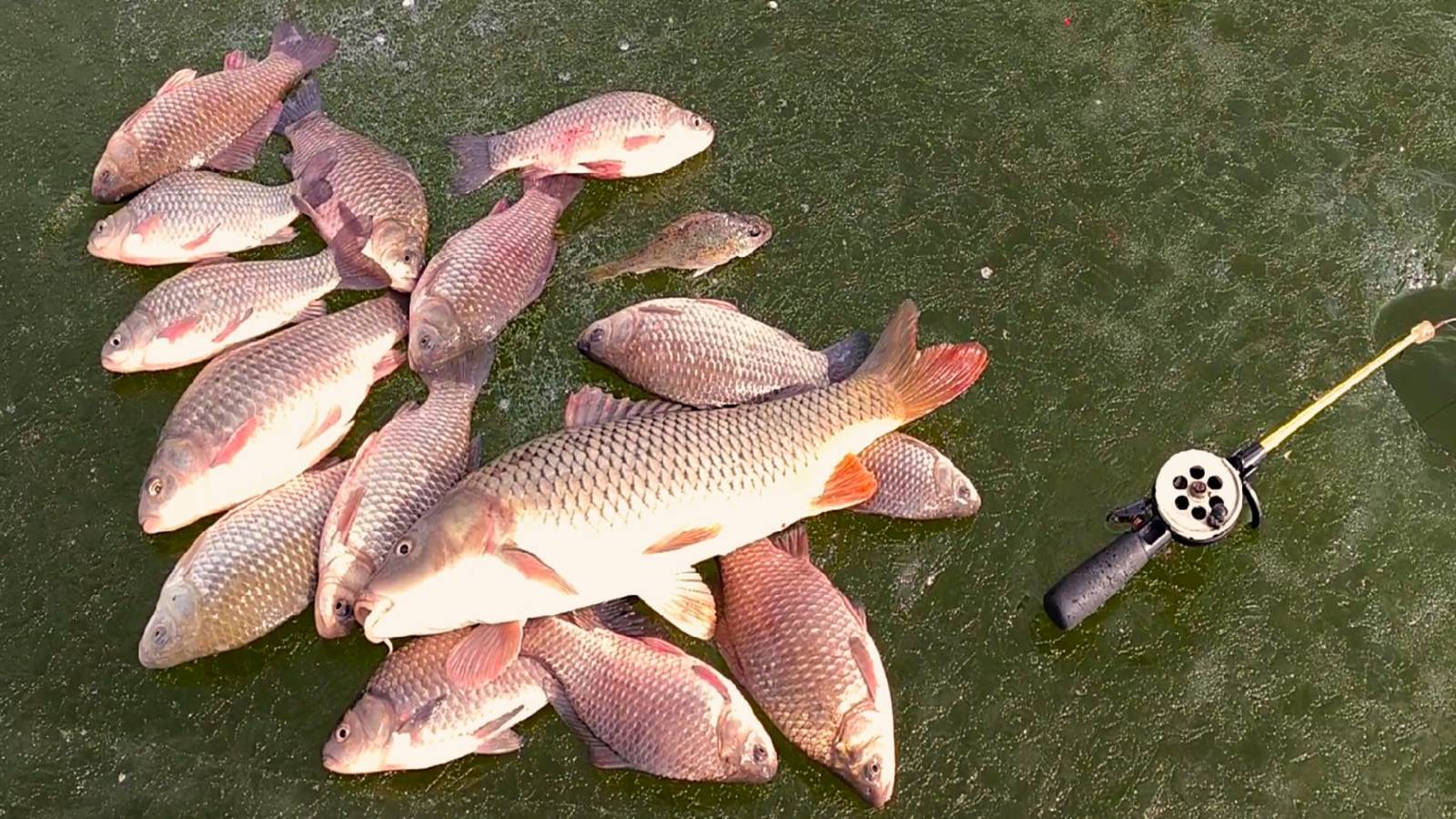 ЭКСТРЕМАЛЬНАЯ ЗИМНЯЯ РЫБАЛКА В МАРТЕ! ЛОВЛЯ ОГРОМНЫХ КАРАСЕЙ! ПОСЛЕДНИЙ И ОПАСНЫЙ ЛЁД 2025. смотреть онлайн