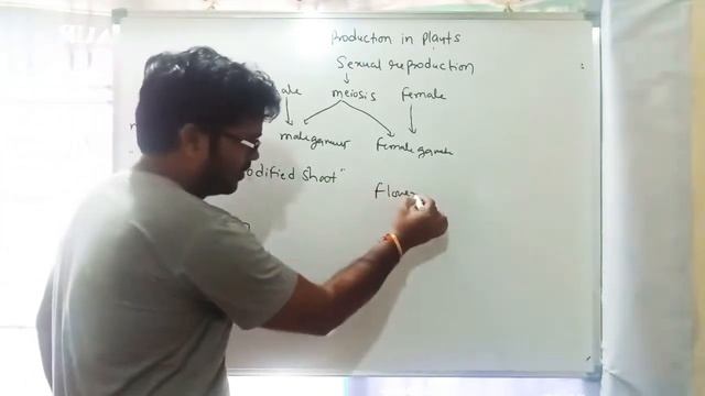 Reproduction in Plants | Flower Structure | Genetics and Plant Breeding | How to reproduce plant смотреть онлайн