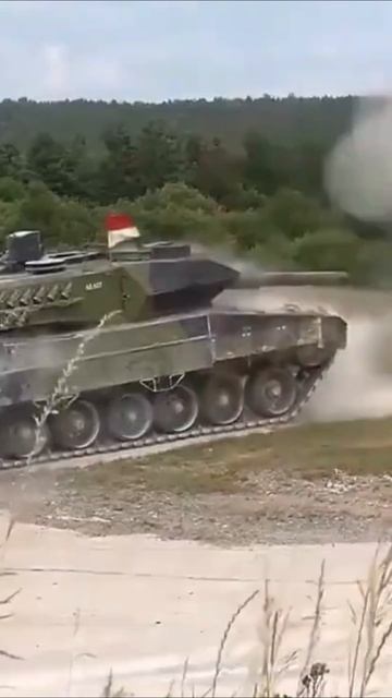 The German Lion Of Tanks Leopard 2