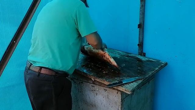 Как я ловлю рыбу.