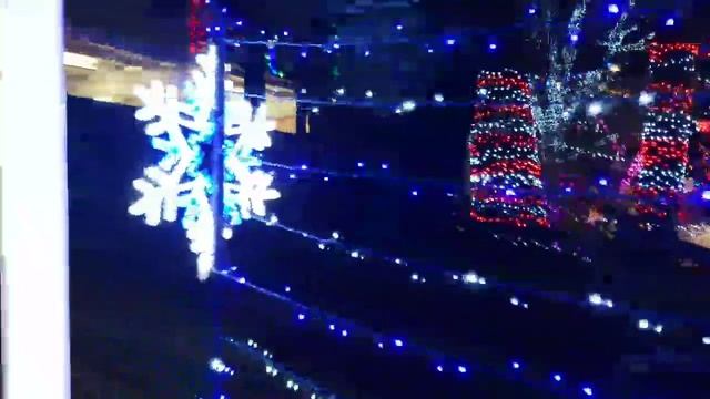 Рождественский поезд в Стенли парк, Ванкувер