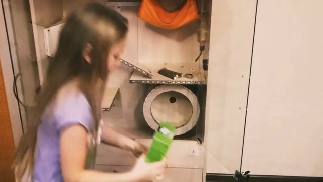 УБОРКА В ВИТРИНЕ У ШИНШИЛЛЫ/Шиншиллки чек😍