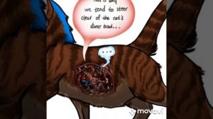 Cat vore