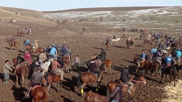 1 января 2024 г. смотреть онлайн