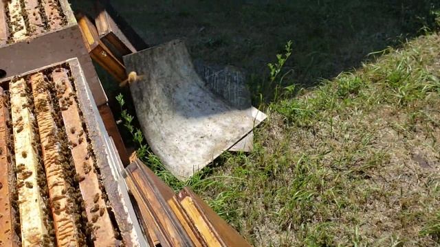 За один день корпус меду (6 рамочник) смотреть онлайн