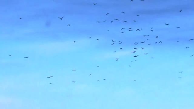 Природа русских душ смотреть онлайн