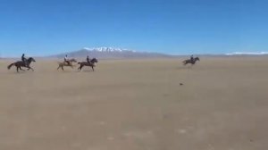 Адай куй. казахские лошадиные скачки. ат жарыс.