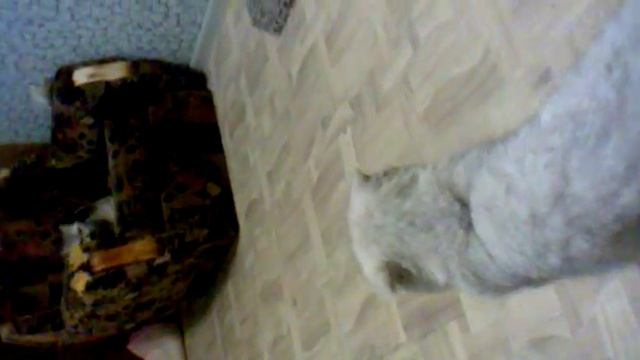 27092014023 смотреть онлайн