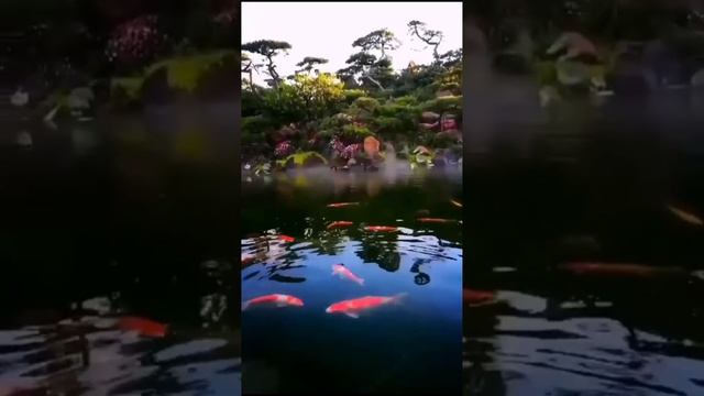 Марина Бриз - Лебеди смотреть онлайн