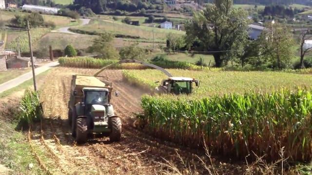 Claas Jaguar 970 y John Deere 7810 ensilando en Lourenzá "Caseiro S.L." (Día) смотреть онлайн
