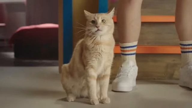 Правильная реклама # 3 Пёрфект фитнес смотреть онлайн