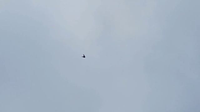 Полуметровый Царь. смотреть онлайн