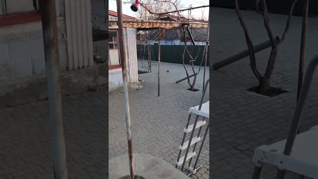 ЖИЗНЬ В ЧАСТНОМ ДОМЕ - КАК ОНА ЕСТЬ @skimenruslan смотреть онлайн