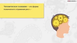 44. Физиология высшей нервной деятельности