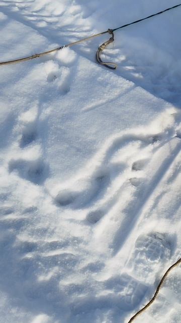 На Рыбалке Все Равны.