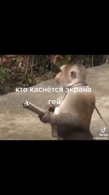 мем #2 смотреть онлайн