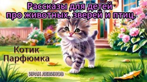 Котик Парфюмка  и волшебные запахи. Познавательно, красиво, нежно. Рассказы детям. Левинов Иран.