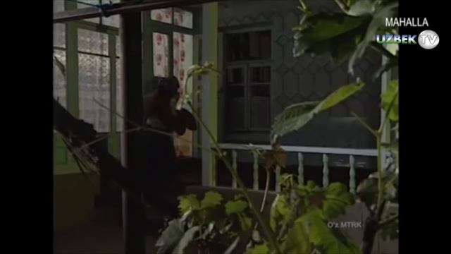 "Чархпалак" ўзбек сериали. 1-2 қисмлар | "Charxpalak" o'zbek seriali. 1-2 qismlar смотреть онлайн