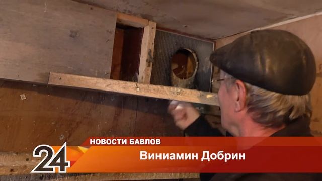 Разводит голубей - 12 октября 2021 года смотреть онлайн
