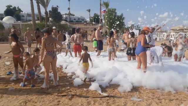 4 ноября 2023 г.