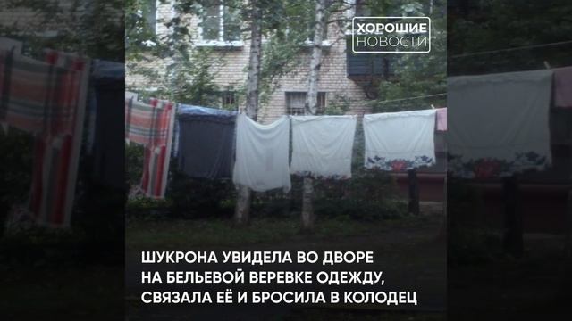 Школьница из Новосибирска вытащила из колодца трехлетнего ребенка смотреть онлайн