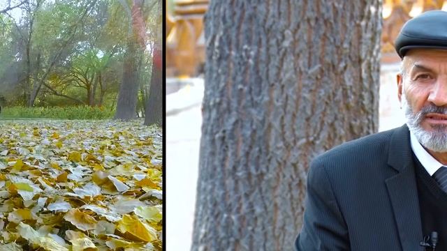 Курбони Хомид/Qurboni Homid смотреть онлайн