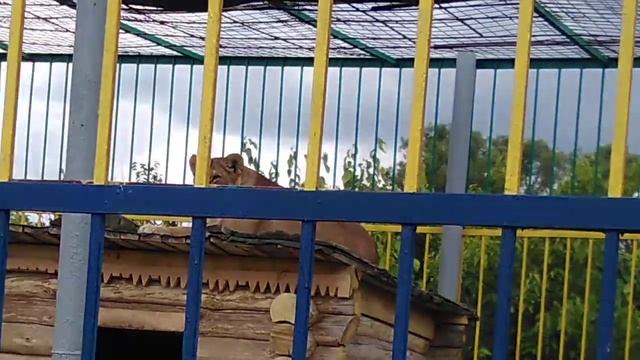 13 октября 2020 г. смотреть онлайн