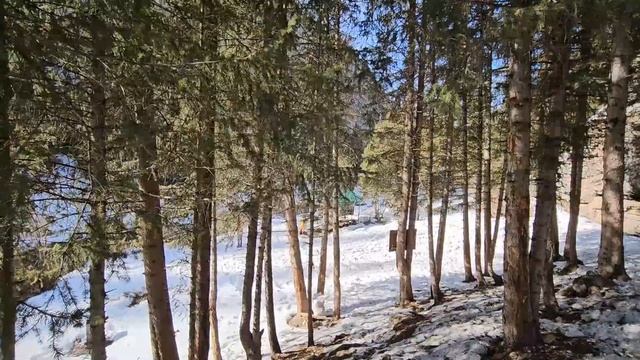 2024_03_10 Живописное ущелье Комирши. Водопад "Стена плача" смотреть онлайн
