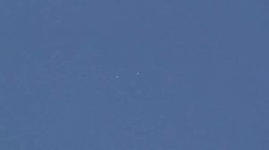 Pakistan pegions -Пакистанские высоколетные голуби.(заводчик Пучков.С)